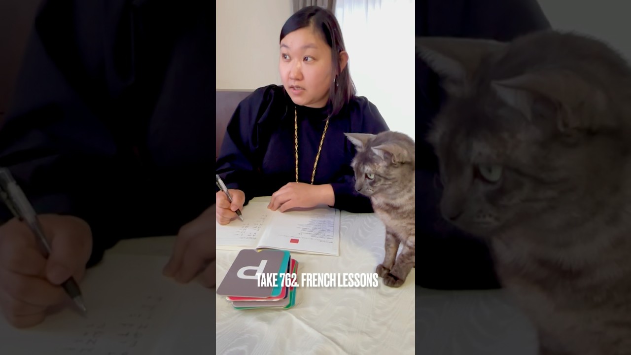 パパの #フランス語会話レッスン あたちもかおるさんと一緒に受講したにゃ❗️#楽しいフランス語 #egyptianmaucat #エジプシャンマウ #エジプシャンマウの仲間たち #shorts