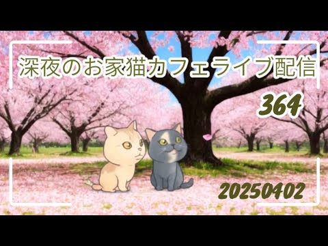 深夜のお家猫カフェライブ配信 ３６４