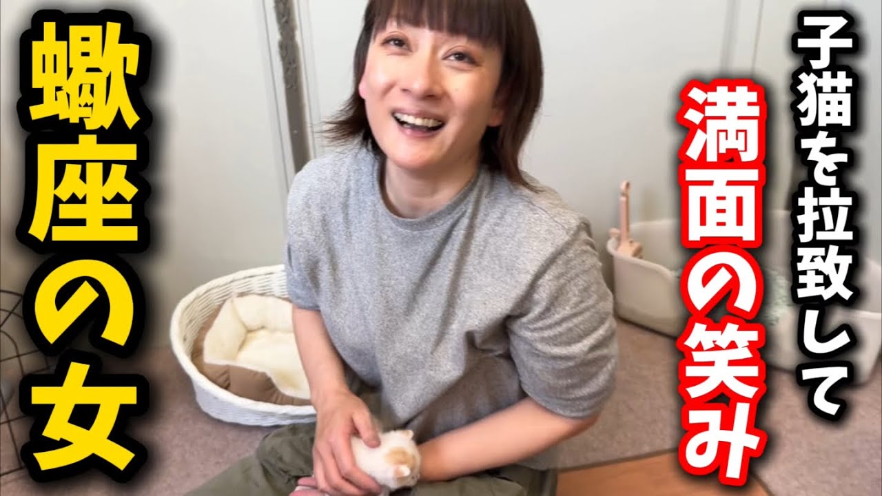ママ猫から子猫を奪って悪魔の形相で笑う蠍座の女
