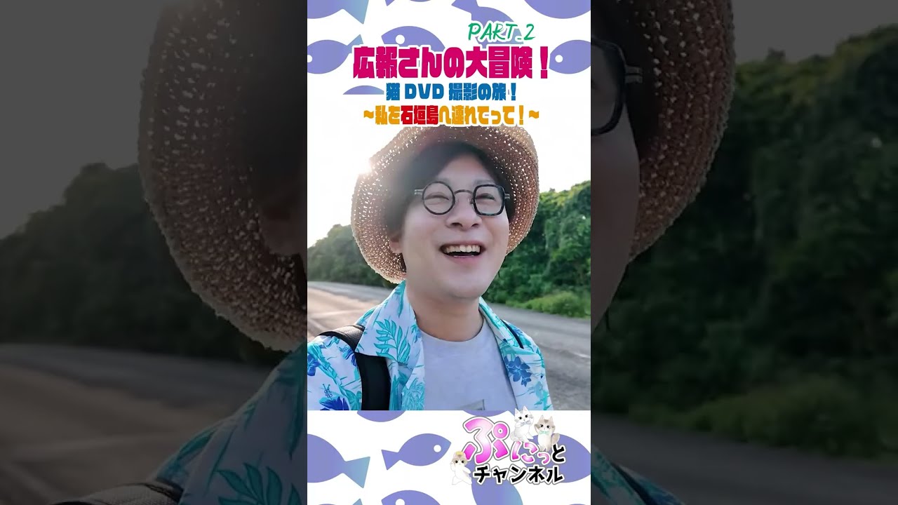 GWも中盤♪猫ちゃんライブ配信♪