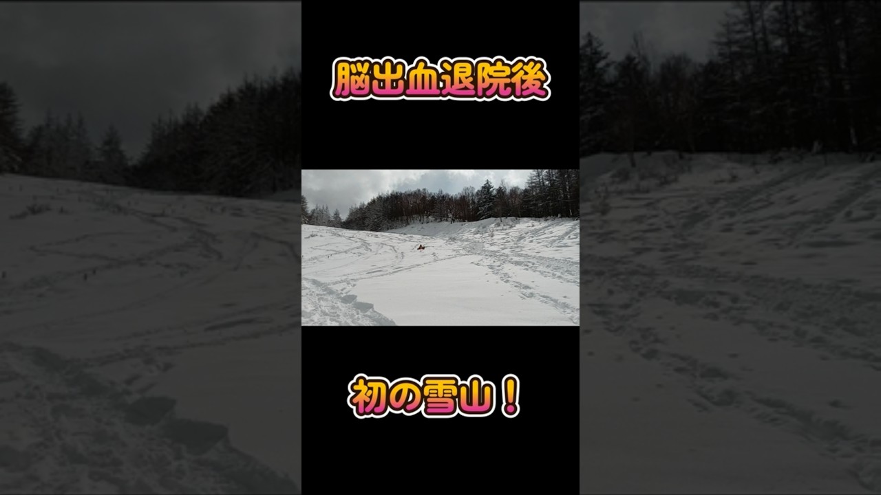脳出血後に初スノーシューと雪遊び③　#shorts #脳出血 #ボーダーコリー #犬とお出かけ #ハイエース #夫婦 #スノーシュー