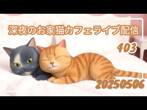 深夜のお家猫カフェライブ配信 ４０３