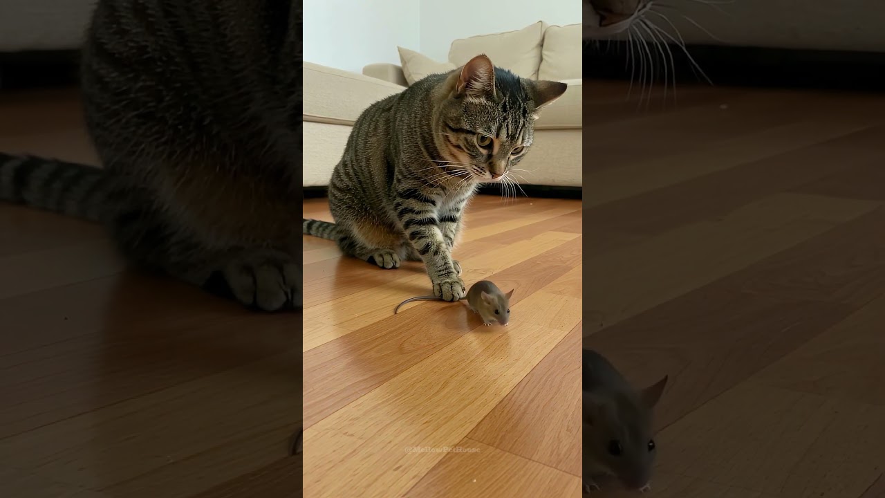 Caught It… But Now What