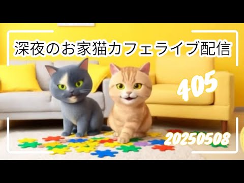 深夜のお家猫カフェライブ配信 ４０５