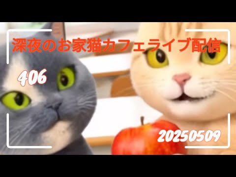 深夜のお家猫カフェライブ配信 ４０６