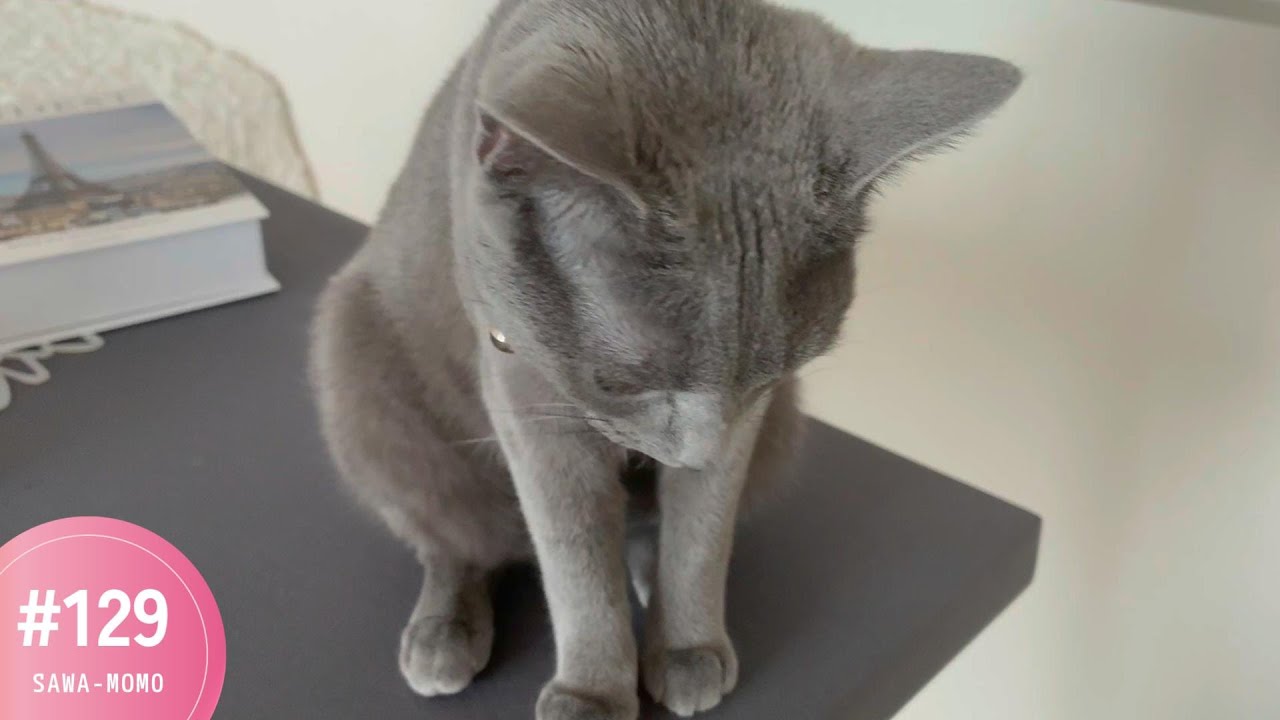 フケ発生中🥺