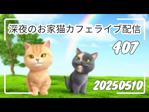 深夜のお家猫カフェライブ配信 ４０７
