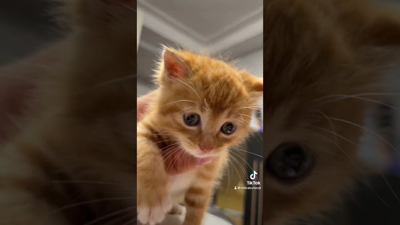 He’s now controlled by me