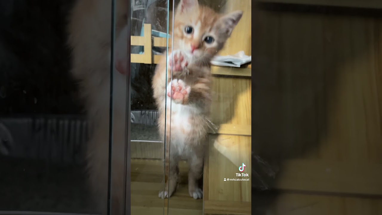 Time for him to go out of his little house