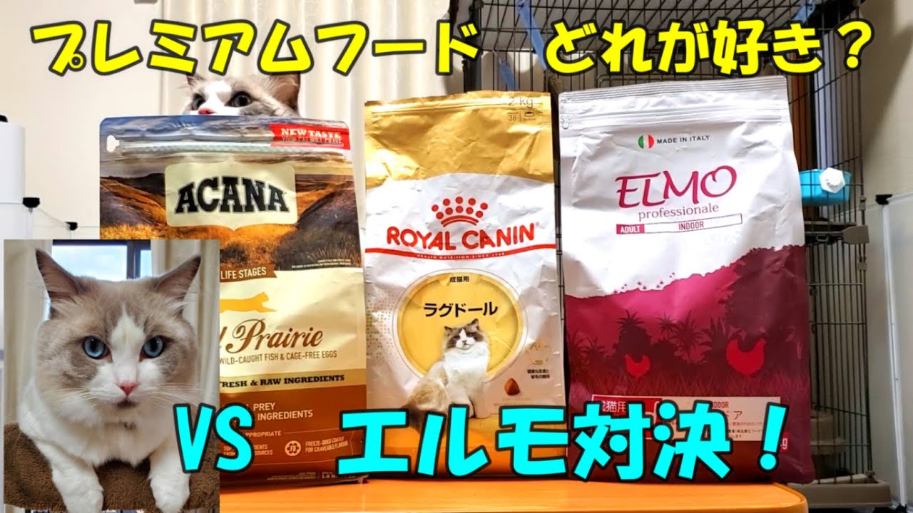 猫エサ　プレミアムフードのエルモ　うちの猫の反応は？　ラグドール猫　【モフニャン】part221