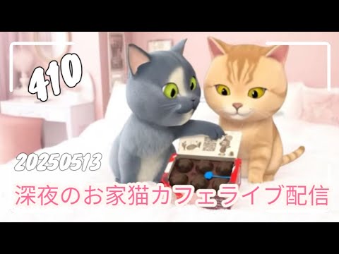 深夜のお家猫カフェライブ配信 ４１０