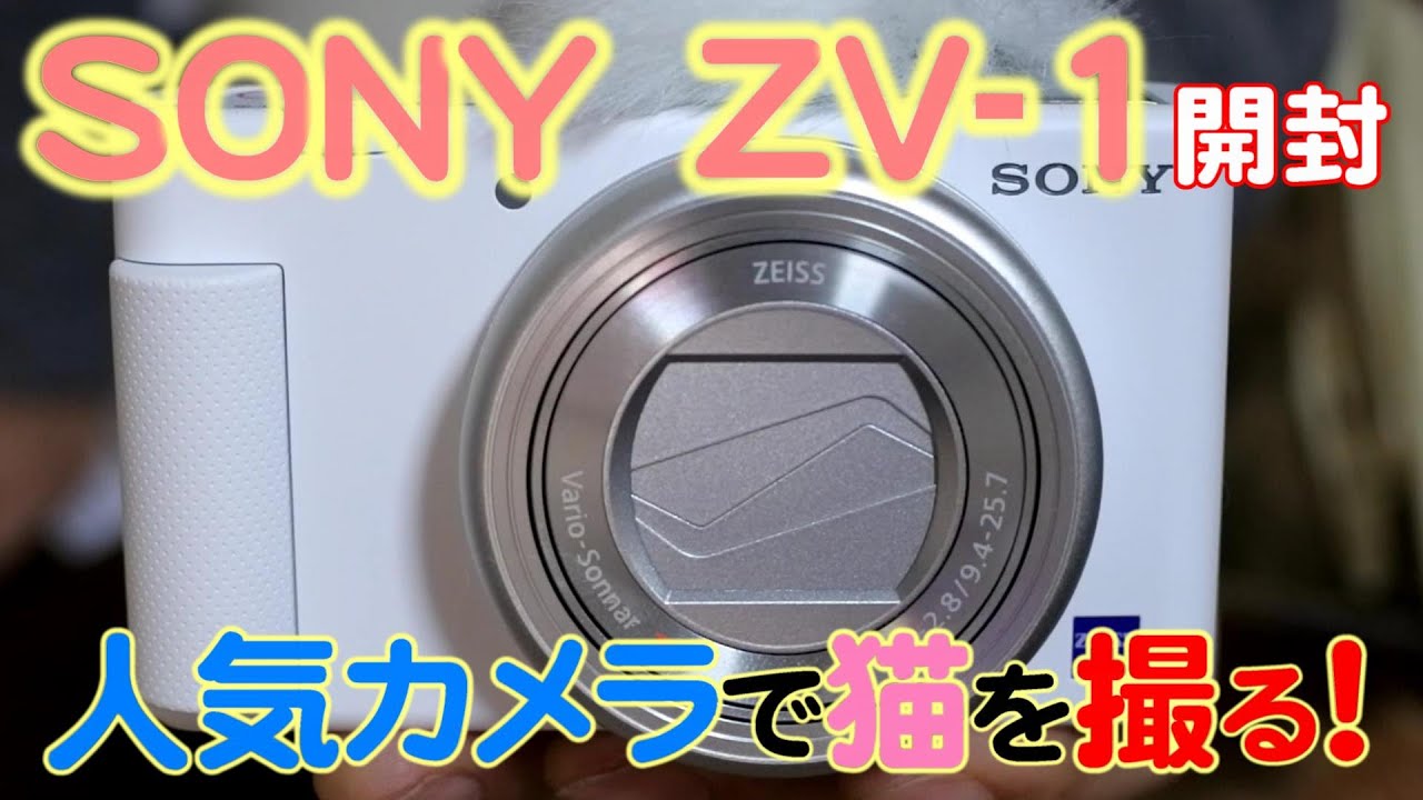 【メインクーンのいる生活9】超人気カメラで猫を撮る（SONY　ZV-1)