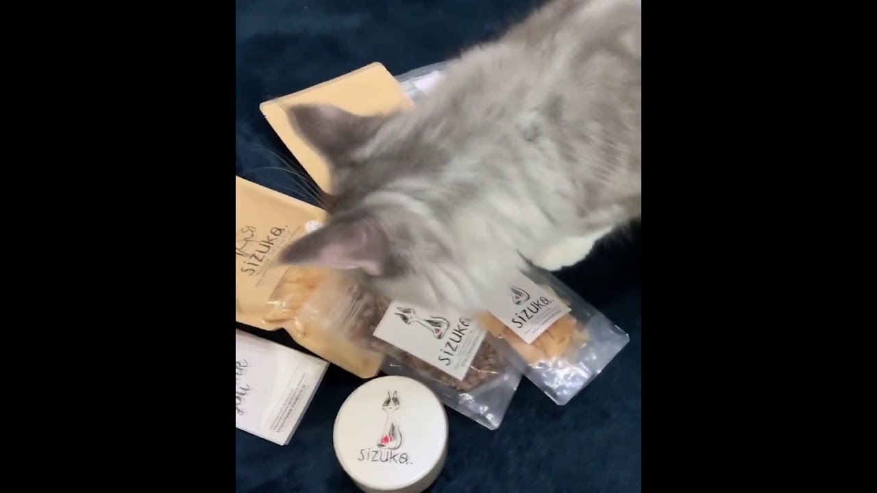 犬_おやつ_無添加　ウマウマレポート＃60　メインクーンの猫ちゃん　エゾマルシェ　にゃんにゃんセット