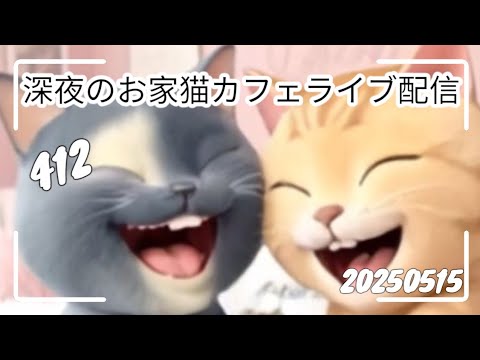 深夜のお家猫カフェライブ配信 ４１２
