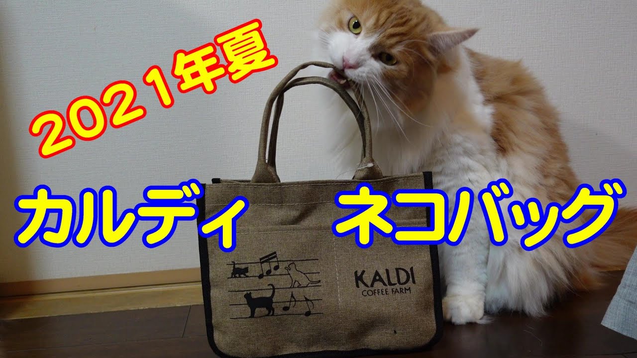 【メインクーンのいる生活111】2021年夏カルディ猫バック！
