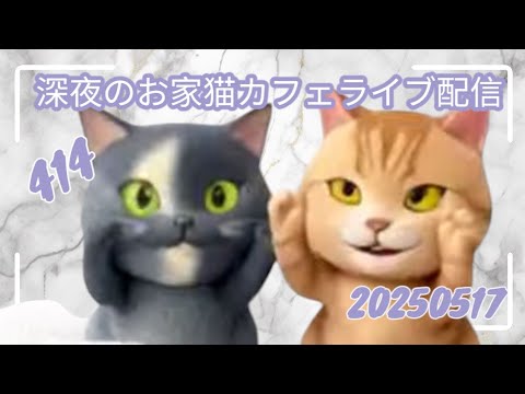 深夜のお家猫カフェライブ配信　４１４