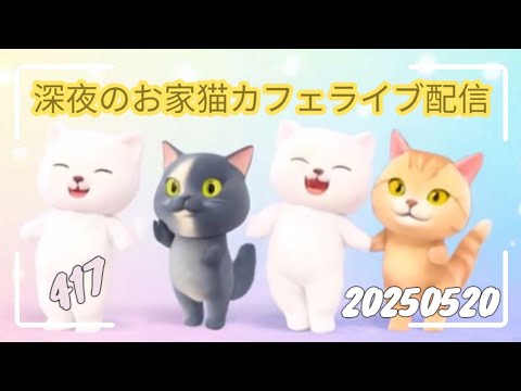 深夜のお家猫カフェライブ配信 ４１７