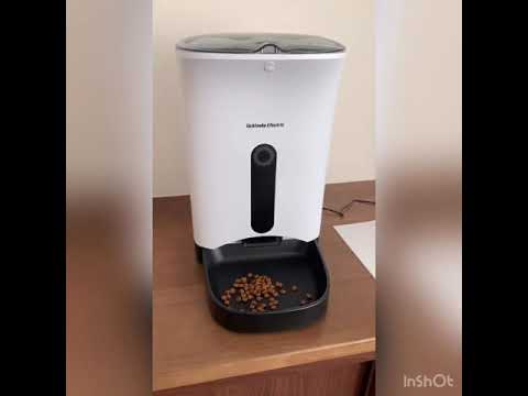 ブログ用カリカリマシーン【ノルウェージャンフォレストキャット】
