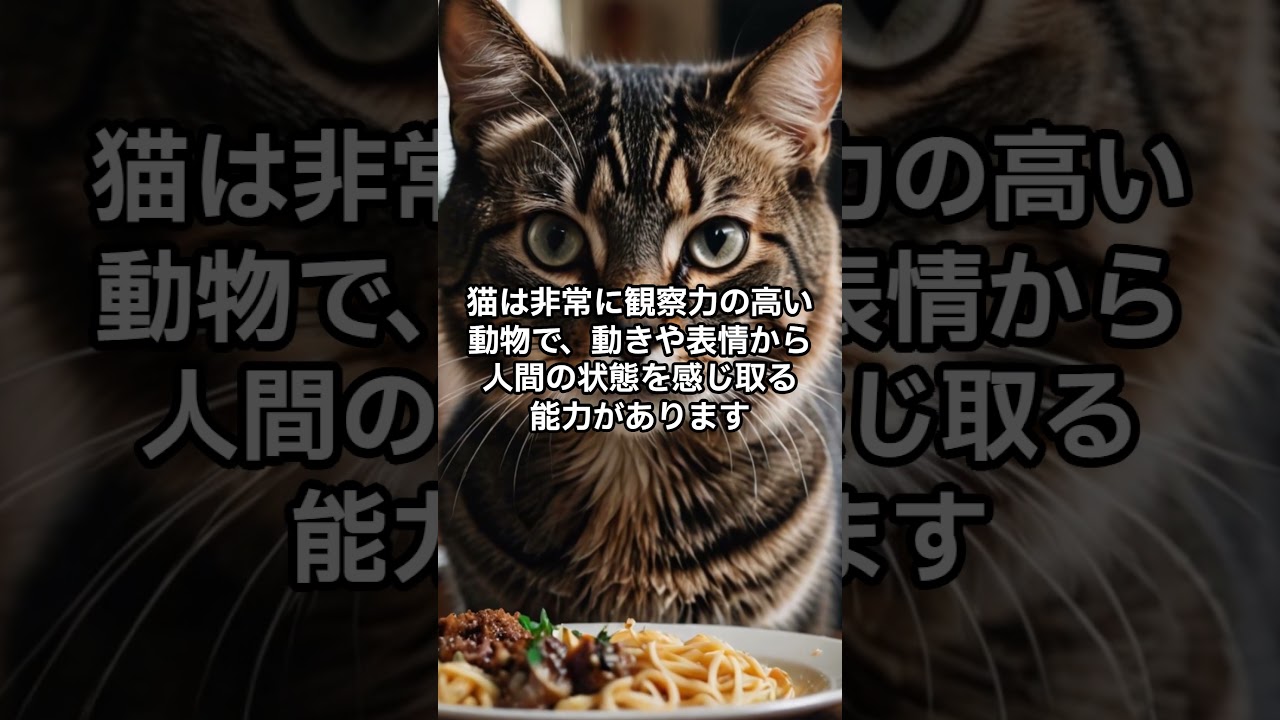 猫に笑われているかも？？#ねこ #ねこのいる生活   #猫  #猫好きさんと繋がりたい  #猫のいる暮らし #猫のいる生活 #cat  #ねこのいる生活 #ねこ動画 #ねこ部