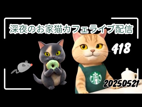 深夜のお家猫カフェライブ配信 ４１８