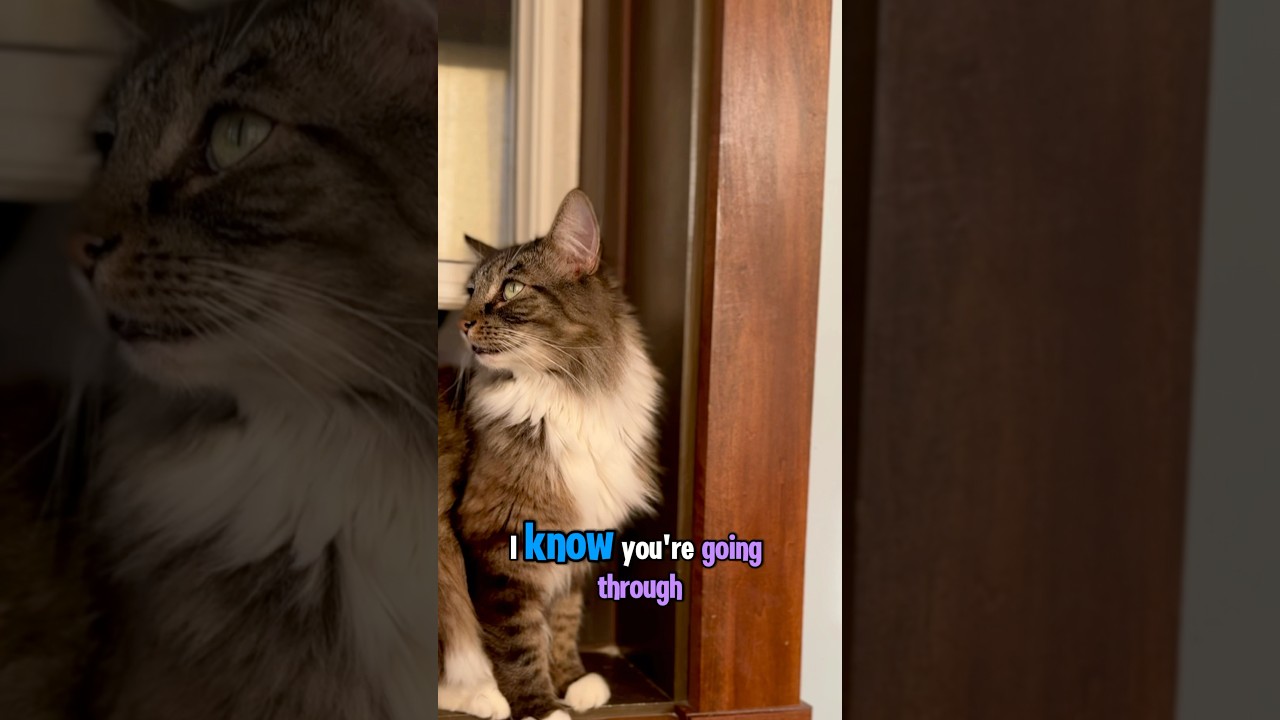 Don’t move…ever!