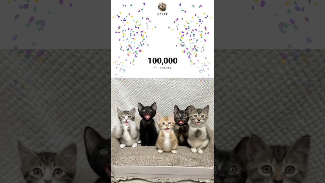 10万人突破をみんなでお祝いしました　#ai #子猫 #kitten