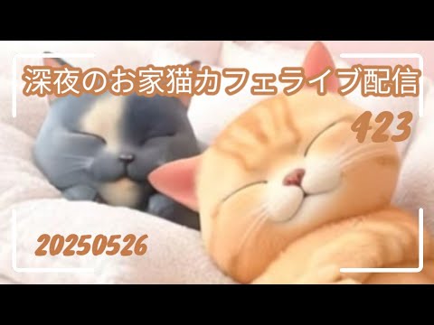 深夜のお家猫カフェライブ配信 ４２３