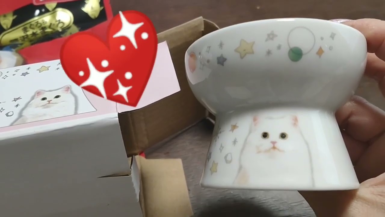 【スコティッシュフォールド】登録者600人突破ありがとうございます❤感謝するふわふわ猫ちゃんはこちらです❤#ねこ #ちゅーる贅沢セット