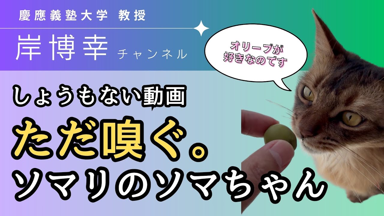 【岸博幸】猫（ソマリ）のソマちゃん、オリーブで・・