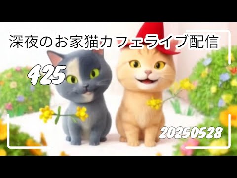 深夜のお家猫カフェライブ配信 ４２５