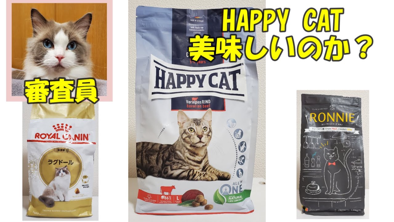 猫エサ　プレミアムフードのHAPPY CAT　うちの猫の反応は？　ラグドール猫　【モフニャン】part227
