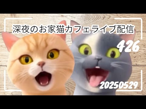 深夜のお家猫カフェライブ配信４２６