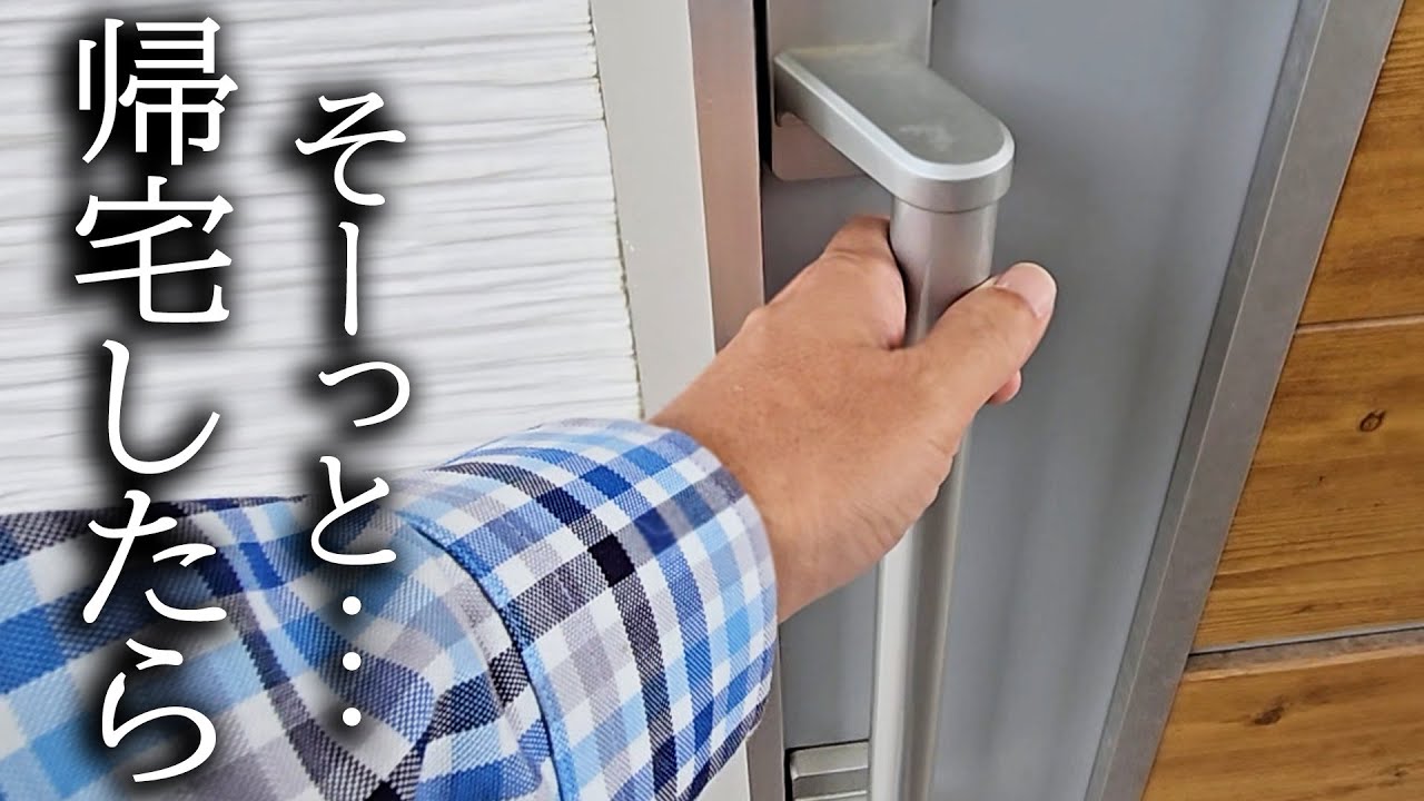 犬と子猫に絶対バレないようにそーっと帰宅してみた結果...