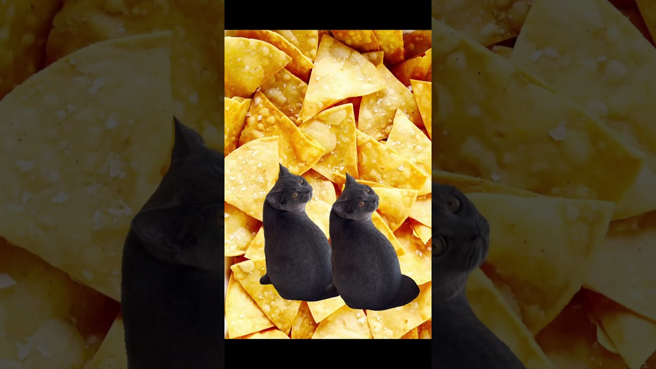 My cute paws 🐾🥰