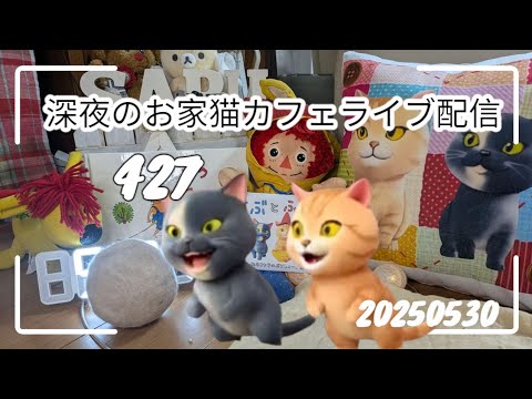 深夜のお家猫カフェライブ配信 ４２７