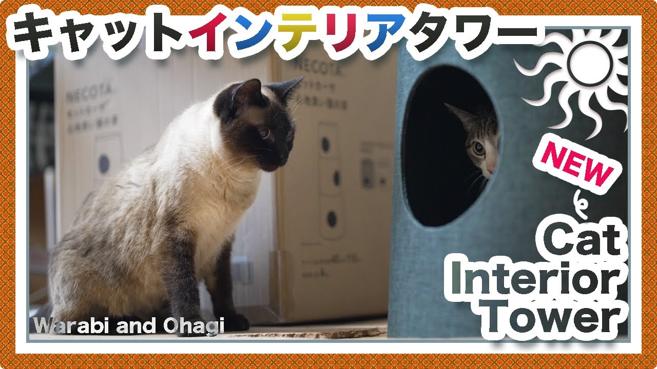 猫のキャットインテリアタワー