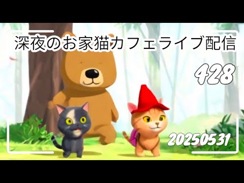 深夜のお家猫カフェライブ配信 ４２８