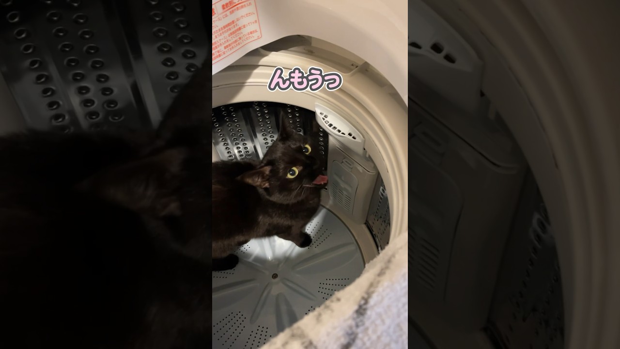 ちょっと！そんなとこでなにしてるのっ