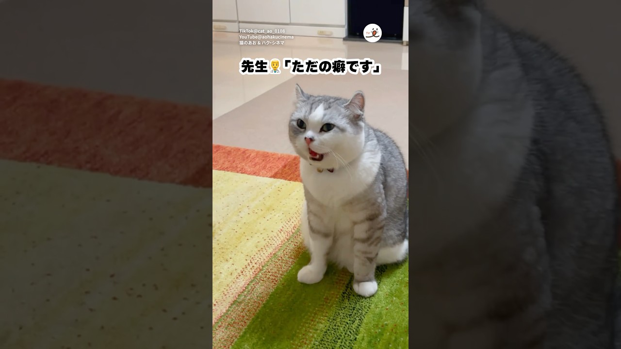 癖が強すぎる😂 @aohakucinema  ｜PECO