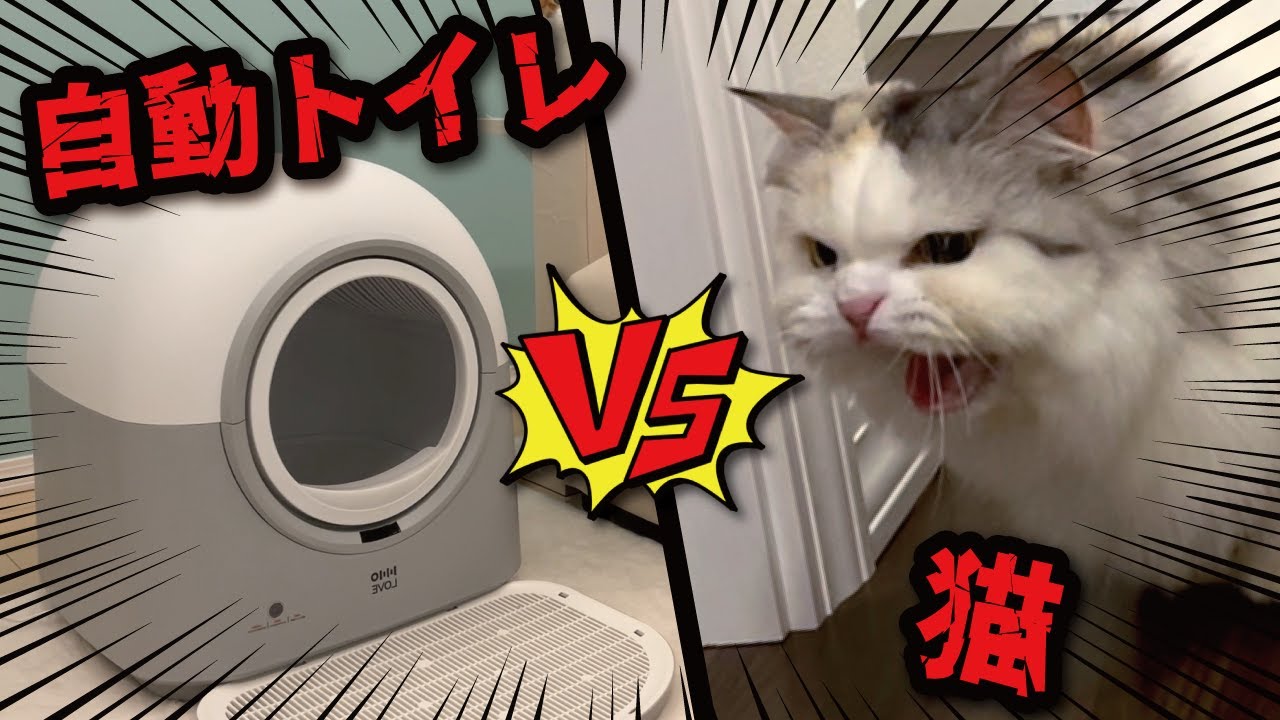 機械が大嫌いな猫を自動猫トイレに入れようとしたらまさかの結果に…！！【関西弁でしゃべる猫】【猫アテレコ】