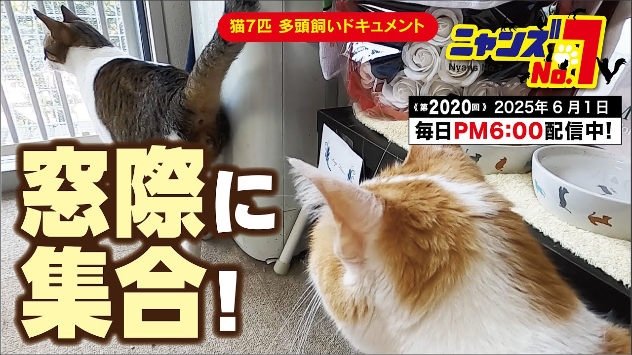 《第2020回》窓際に集合！