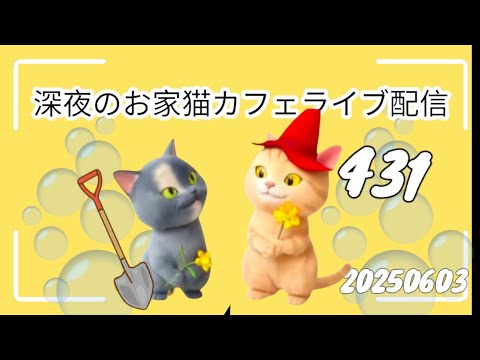 深夜のお家猫カフェライブ配信 ４３１