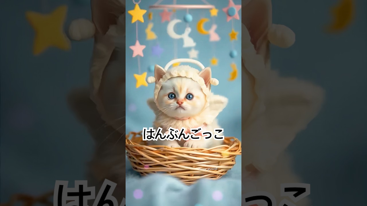はんぶんごっこ🍰💕