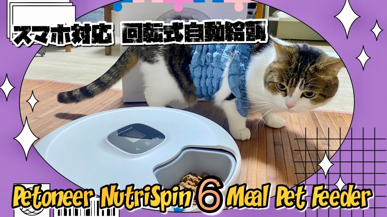 【早朝や留守中も自動で猫のごはん⁉️】 ニュートリスピン 6 ミール ペットフィーダー ❤️🐾🐈🐈‍⬛