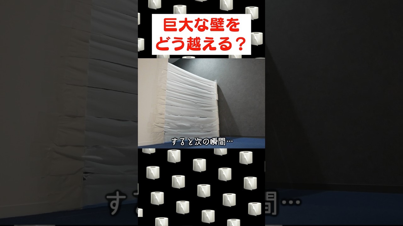 トンチのきく猫、まさかの方法で壁を突破