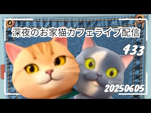 深夜のお家猫カフェライブ配信 ４３３
