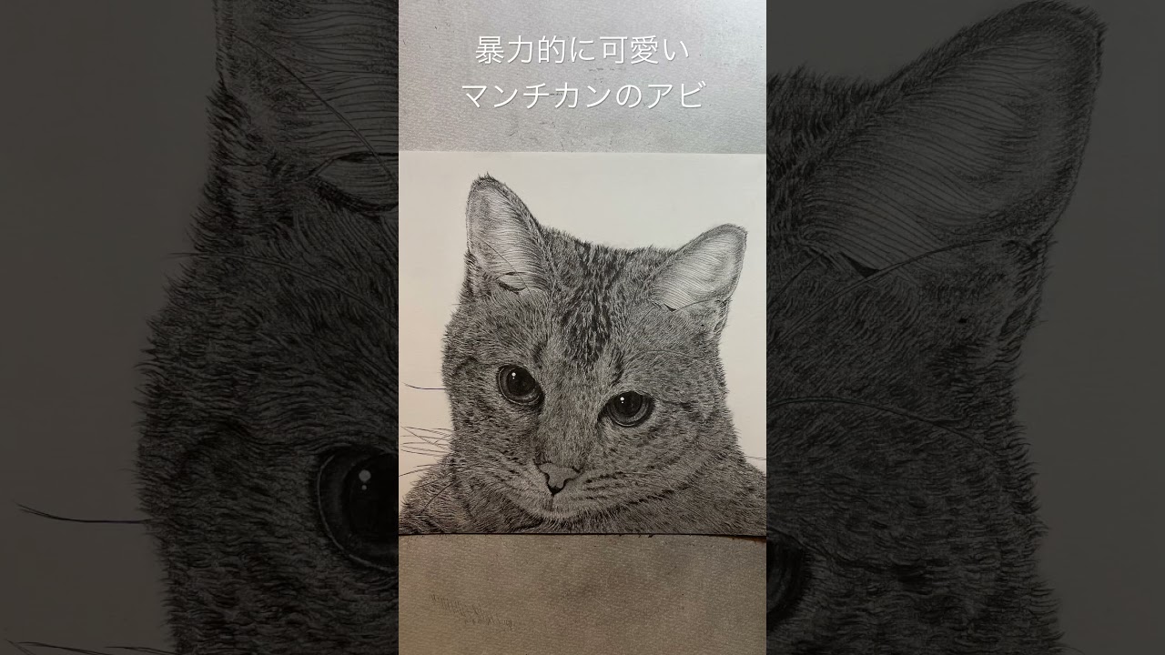 暴力的に可愛いマンチカンの子猫を描きました #マンチカン #暴カワ #猫好きさんと繋がりたい #ペン画 #メイキング #猫のいる暮らし