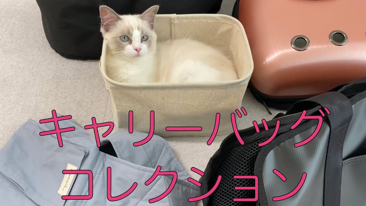 猫用キャリーバッグコレクション
