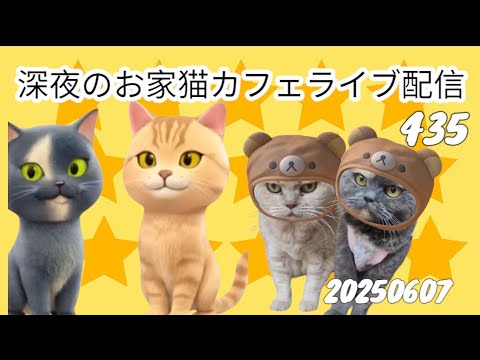 深夜のお家猫カフェライブ配信４３５