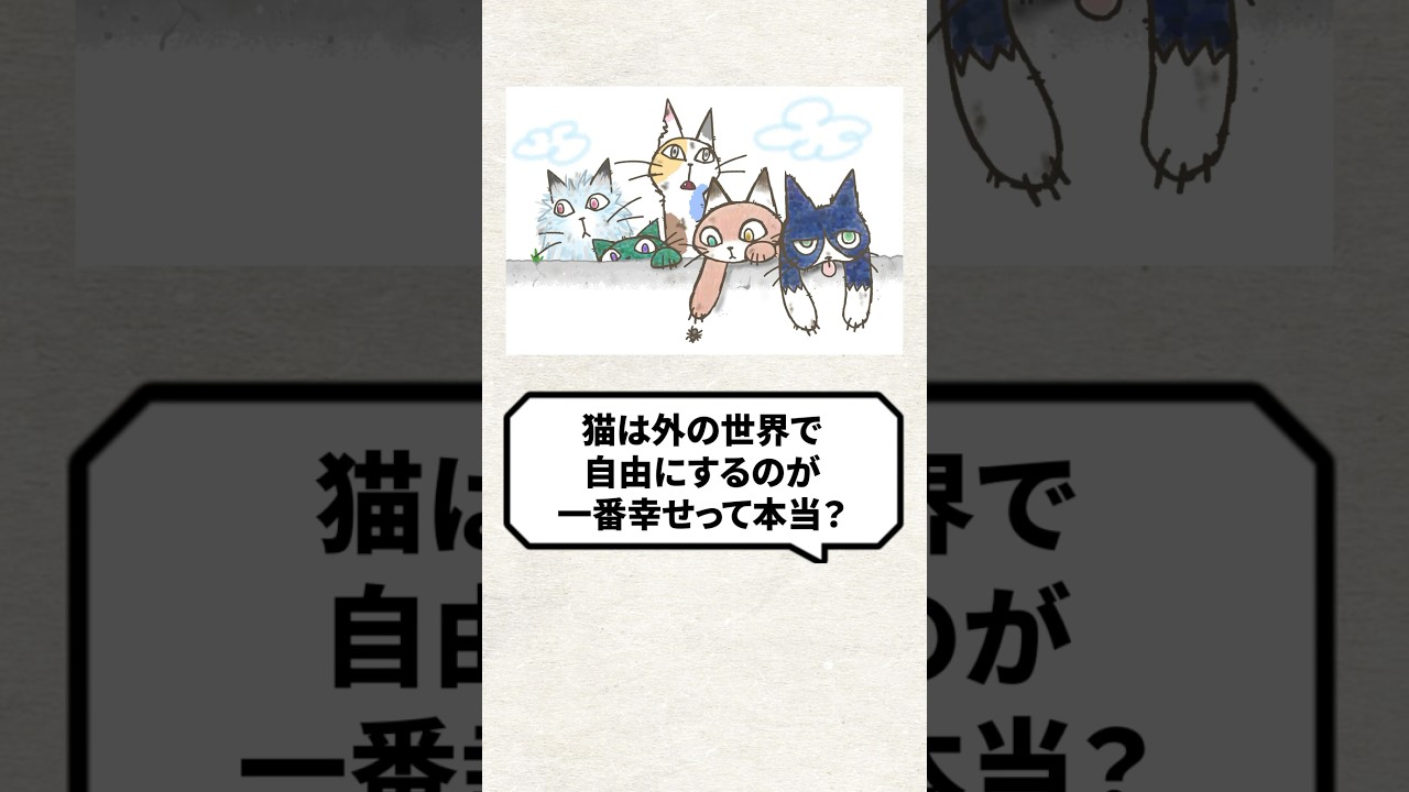 Q：猫は外の世界で自由にするのが幸せ？ #猫 #猫好き #保護猫 #ねこ